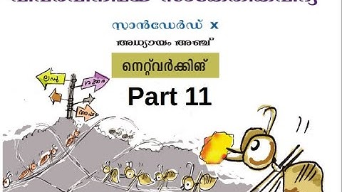 CM Soft ICT Tutorials Std 10 Chapter 5 Network 11