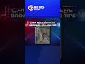 Police seek help identifying juvenile in Fort Lauderdale duck killing caught on video