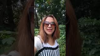 Happy Picking Rambutan with my hubby #view #fyp #viral #farming #fruit #inspiration Happy Picking Rambutan with my hubby #view #fyp #viral #farming #fruit #inspiration