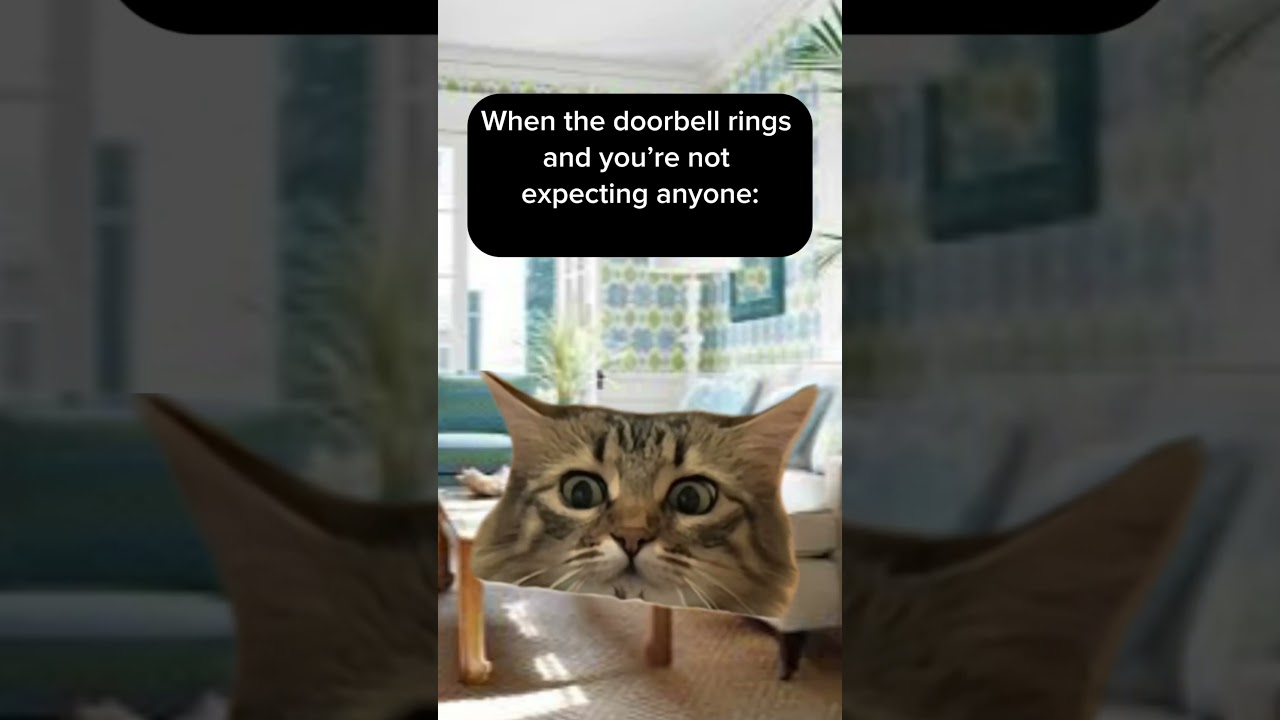 When the Doorbell Becomes Your Worst Enemy 