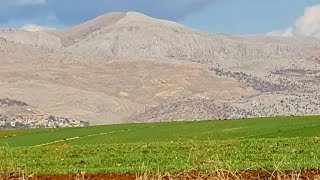 Buğday ekmesini biliyor muyuz? Yapılan iki önemli hata nedir?