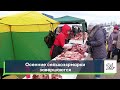 Осенние сельхозярмарки завершаются