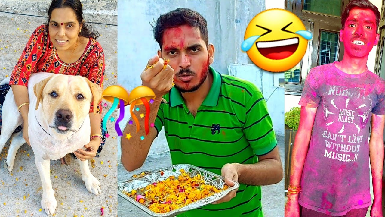 labrador-dog-shy-ki-phoolon-wali-holi-funny-dog-video-sourshy