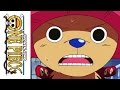 One Piece Season 5 Voyage 3 Coming Soon Trailer One Piece Season 5 Voyage 3 Coming Soon Trailer