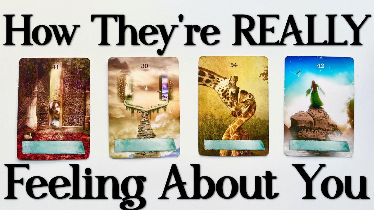 How Your Person Is Thinking + Feeling About You🩷{PICK A CARD}🤍Love/Soulmate/Twin Flame Tarot Reading