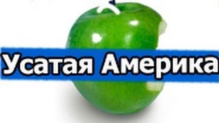 iPhone 5 первые продажи(Рингтон 