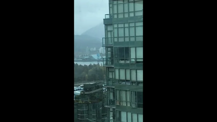 Seagull trapped on Vancouver balcony