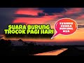 Trocok Ropel Pelan Dan Panjang Mp3 - Mp4 Download