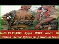 Gaaffi Fi Deebii Ajajaa WBO Zoonii Bahaa Cibiraa Elemoo Qilxuu Jaal Hambisaa Seenaa Waliin Tura