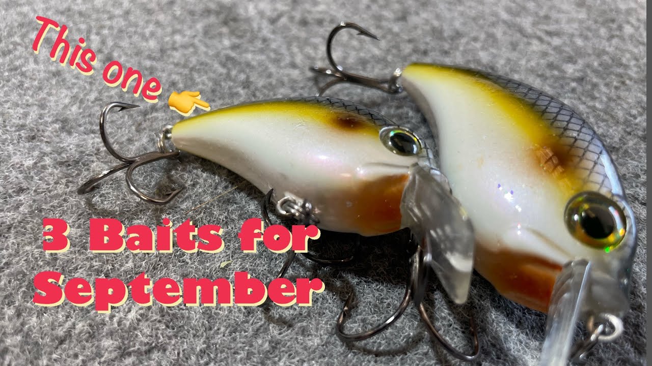 3 baits for September Bass Fishing | #bassfishing #crankbaitfishing #fall