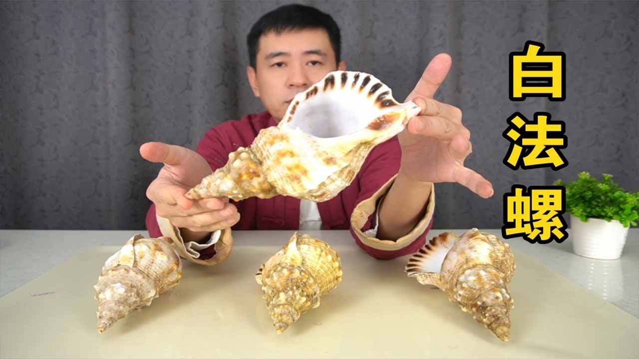 白法螺都哪里不能吃，年夜饭必须整点绝的- YouTube