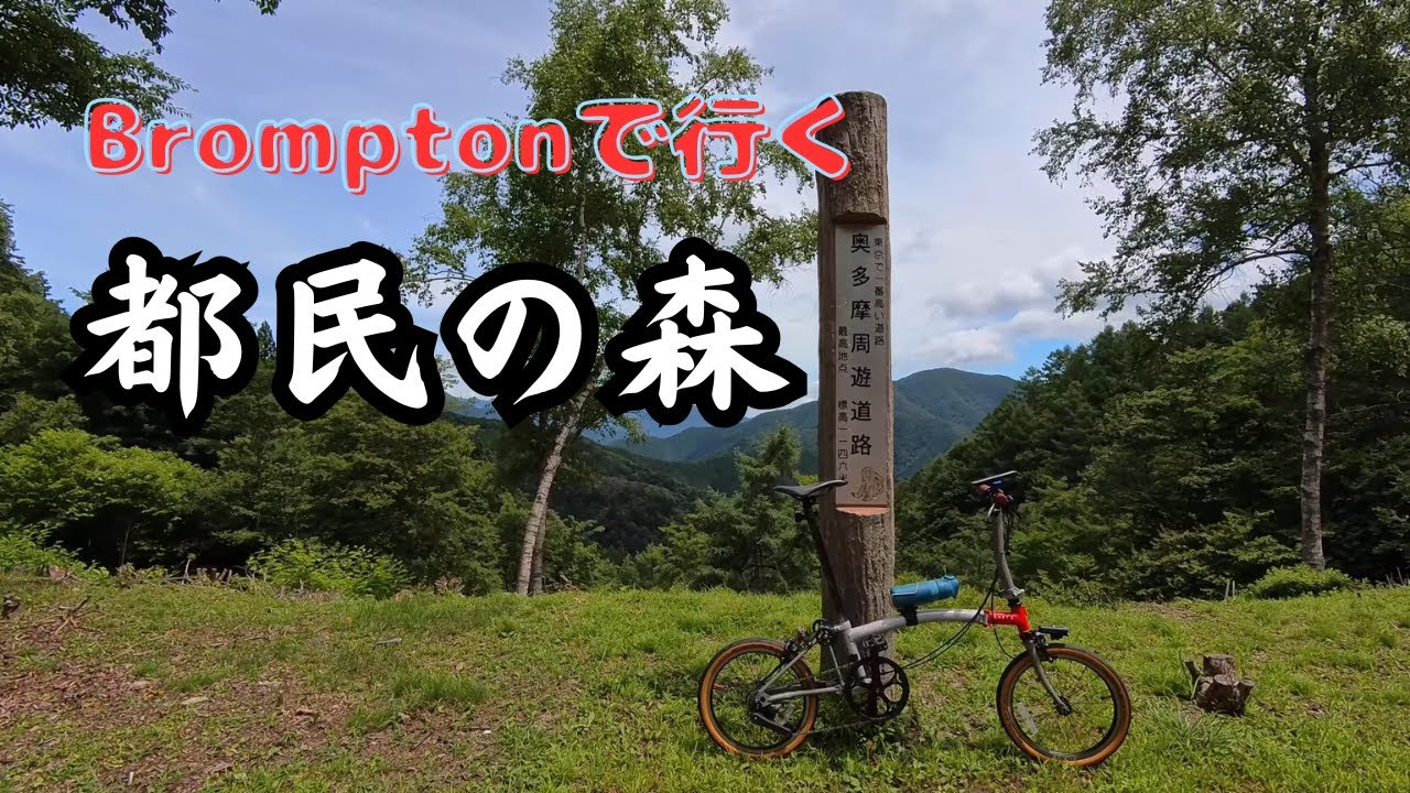 My Toughest Ride Yet: A Brompton Mountain Climb & A Broken Lens | 奥多摩駅から都民の森を目指して