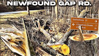 DESTRUCTION ALONG NEWFOUND GAP ROAD |GSMNP| January Storms Leave Path Of Damage by Smoky Mountain Family 6,116 views 3 months ago 8 minutes, 27 seconds