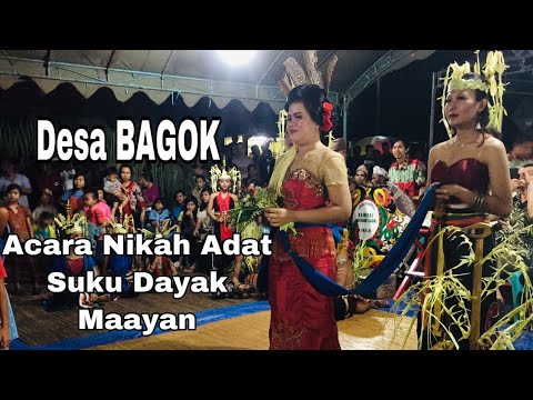 NIKAH ADAT SUKU DAYAK  MAAYAN KALIMANTAN  TENGAH  YouTube