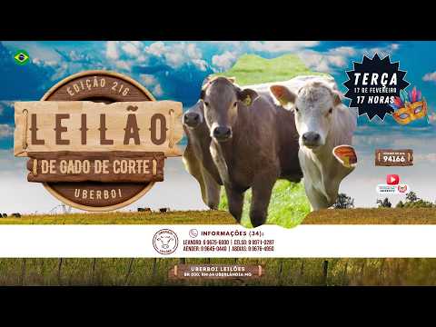 216º LEILÃO UBERBOI LEILÕES - UBERLÂNDIA MG - 17/02/2026 - 17 Hrs