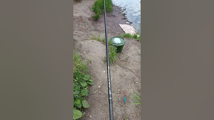 На рыбалке обед 🤫大自然中的午餐 #рыбалка #природа #кемпинг