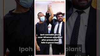 Ipoh cannabis plant case: Wireman acquitted after prosecution fails to prove case