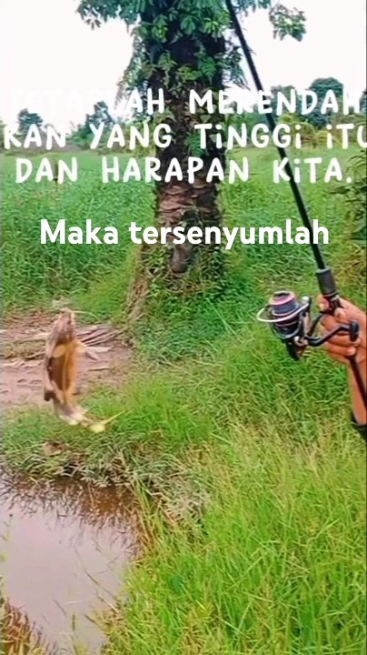 #mancing#sungai#tiau Senyummu adalah pwngobat rindu