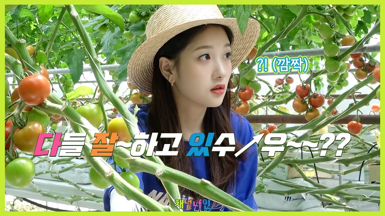 [Channel_9] 프로미스나인 (fromis_9) - '채널나인 EfG' Part.4