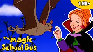 Full Weird Animal Science | Halloween Full Episodes | The Magic School Bus Guide