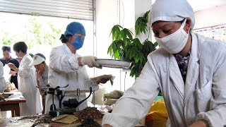 【卢全生：中医西医 有效就是好医  医病与政治无关】#时事大家谈 #精彩点评