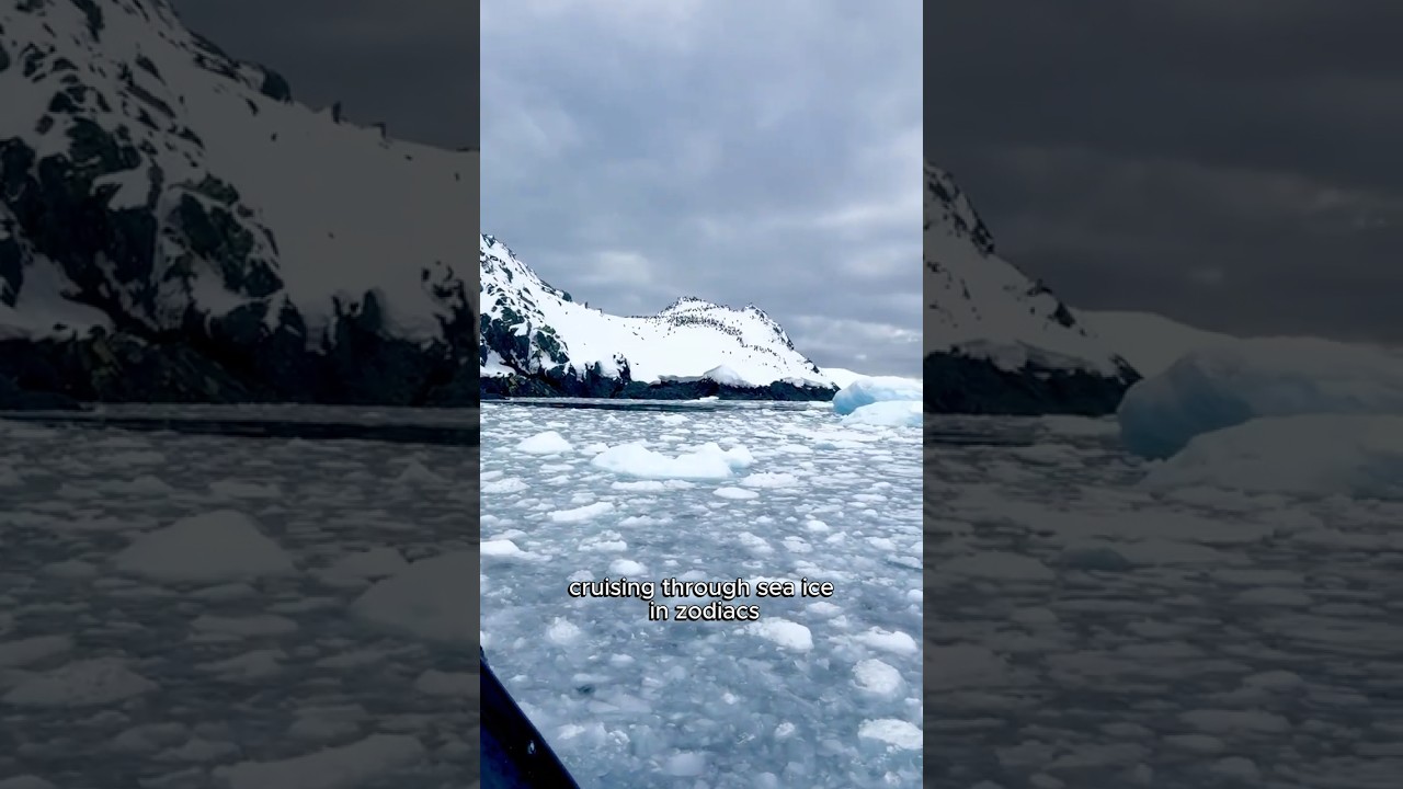 This is the REAL Antarctica experience. 