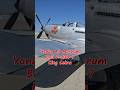 🐍 Bell P-63A Kingcobra "Fatal Fang". 🇺🇸 Subscribe for more! ✈️🤙🙏