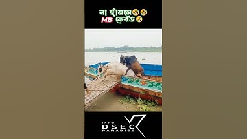 #funny #funnyvideo #viral #viralshorts #shorts #trend #bmw #trump #music