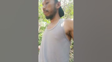 Harvesting cassava part 595 #shorts #farming #cassava #nature  #cassavaroots #cassavafarming