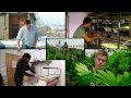 Medical Marijuana for Kids - TechKnow