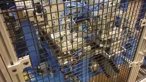 Automated Boot Seal Assembly