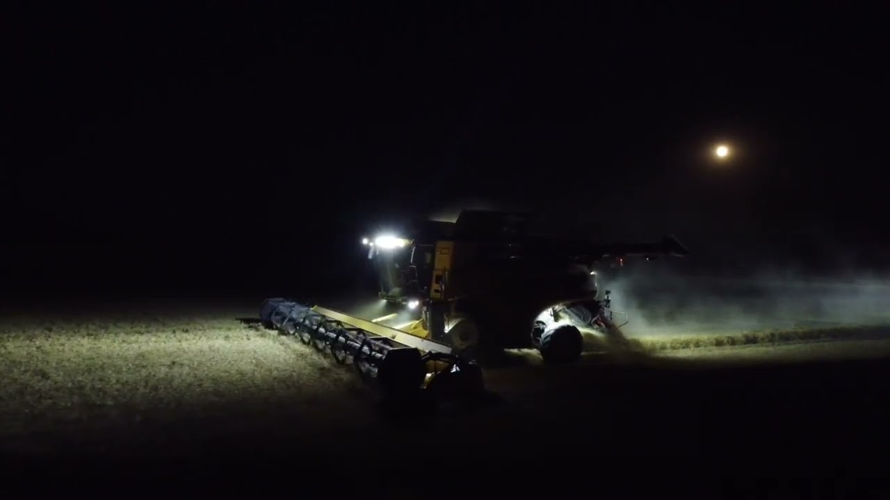 Ernte 2025 New Hollandt, CaseIH, Steyr