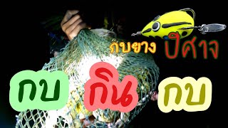 ตกกบนา ด้วยกบยาง | ต๊ะ ตีแหลก #ตกปลา #ตกปลาช่อนหมายธรรมชาติ #จับกบ