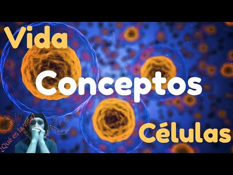 Video: Kuidas eristab RNA-d DNA-st?