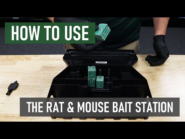 How to Use a Rat & Mouse Bait Station