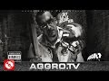 Sido  ich  premium  full album official version aggrotv