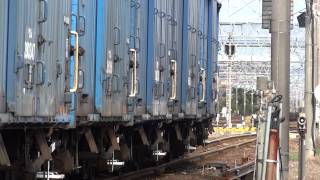 JR貨物 EF65-1082 専用貨物列車(673レ 原色 国鉄色 青ワム80000) 稲沢駅