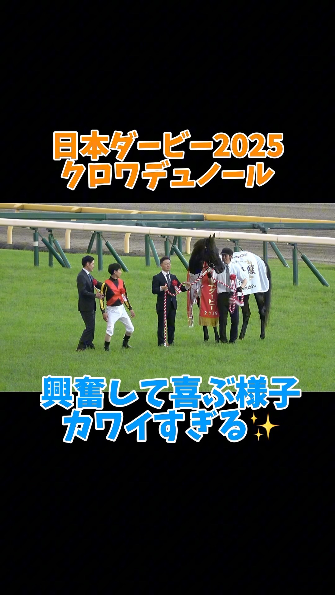 日本ダービー2025】興奮して首をブンブン振るクロワデュノールが可愛