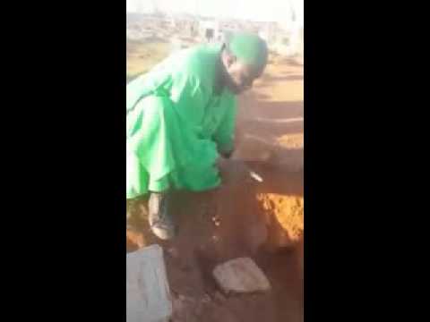 نحل داخل قبر في السودان سبحان الله