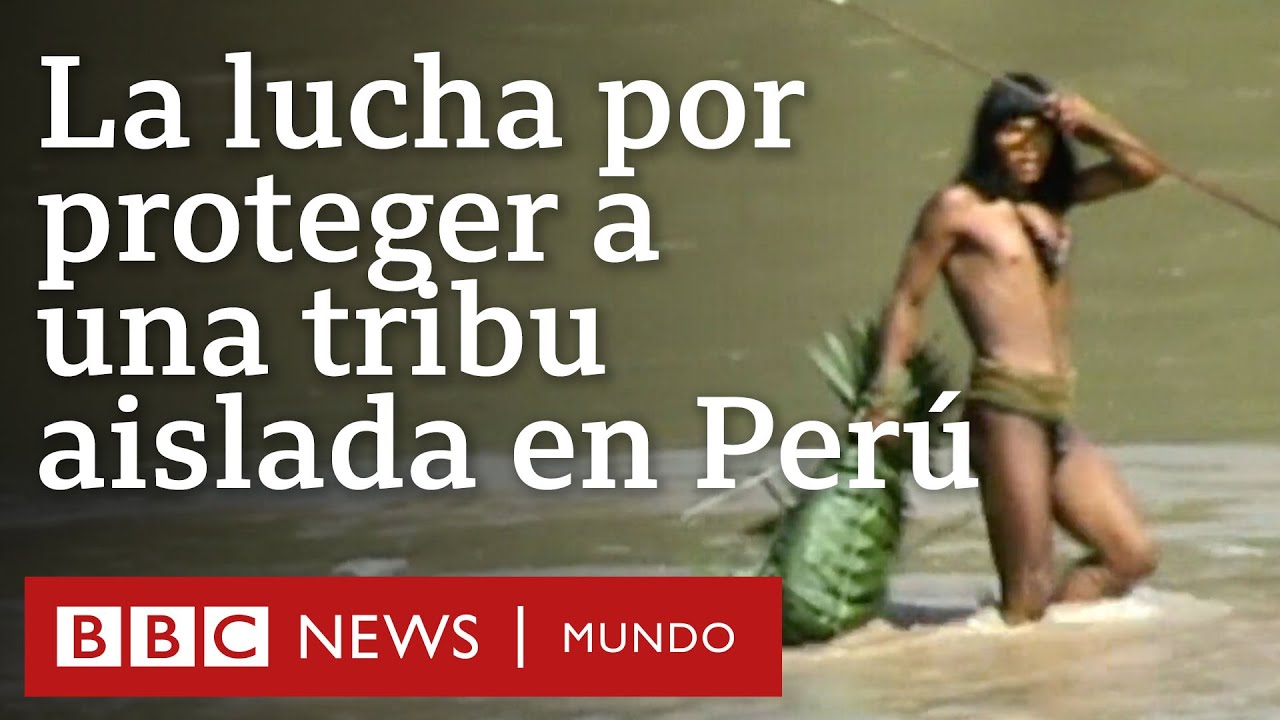 La lucha por proteger a los mashco piro, una de las últimas tribus aisladas del mundo | BBC Mundo