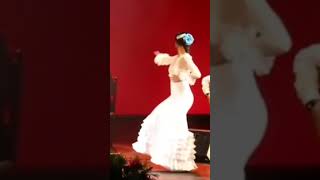 violín y flamenco dance