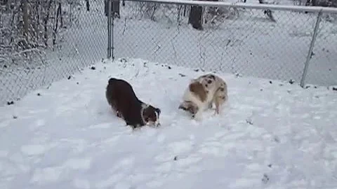 PlayingInSnow201...