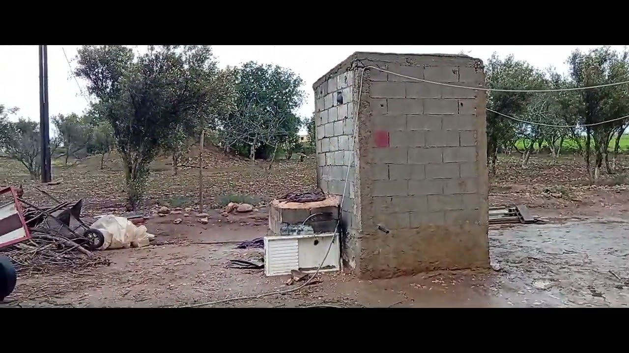 دار محفضة 5000 متر ثمن 60 مليون بها بئر كهرباء 0613792120 نواحي بن معاشو بئرجديد الجديدة 