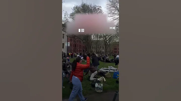 Students from Harvard University set up Gaza solidarity encampment