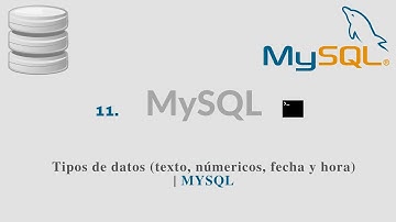 11. Tipos de datos (texto, numéricos, fecha y hora) | MYSQL