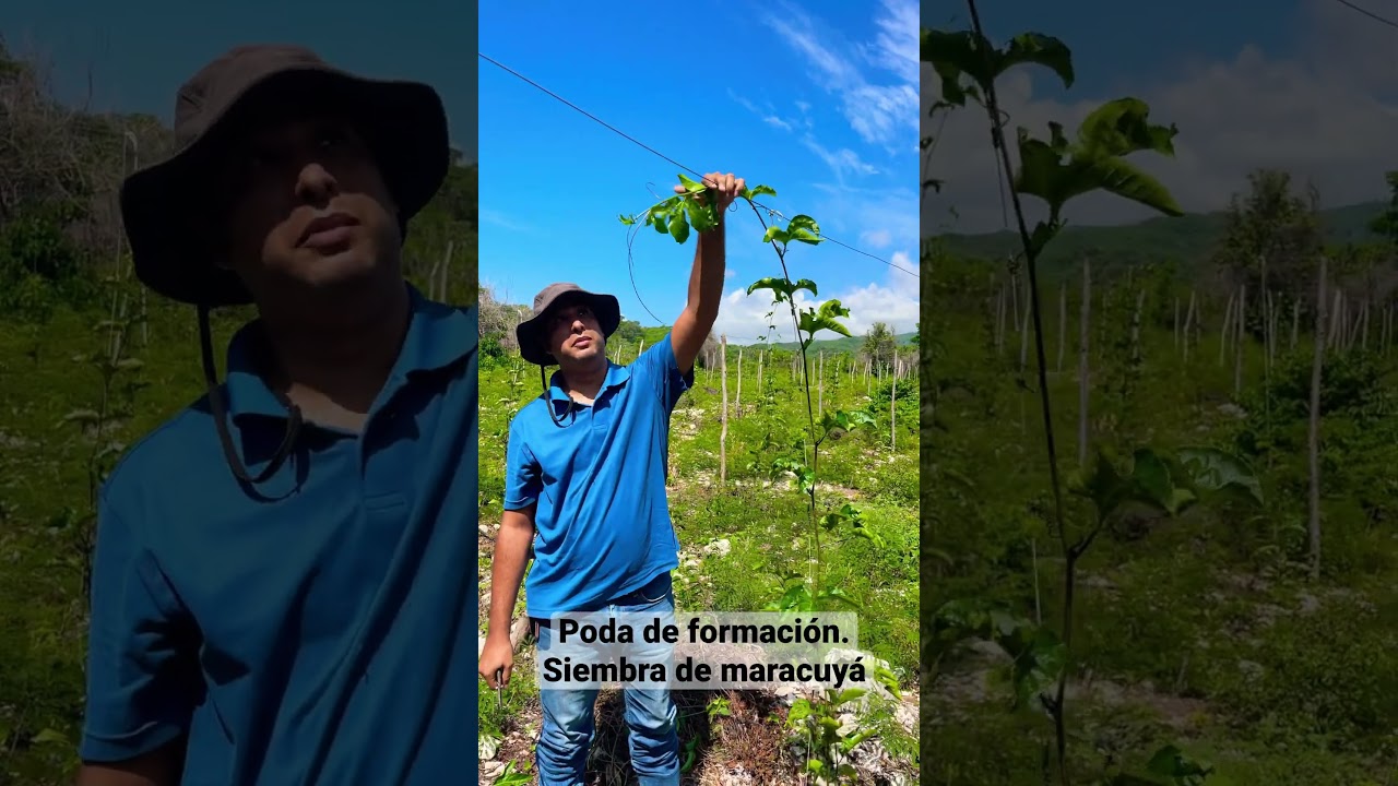 El proceso es importante! 