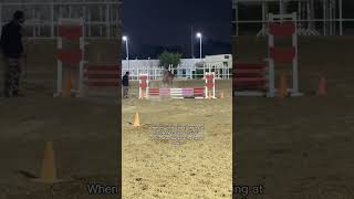 LOL HILARIOUS 😂 #horse #equestrianjourney #equestrian #fypシ #fail 