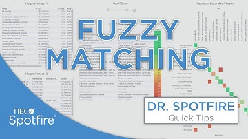 Fuzzy Matching for Text Strings in Spotfire