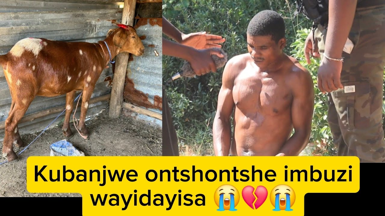 SILUNGISA ICOUNTRY || Kubanjwe ontshontshe imbuzi wayidayisa 💔😭🎤⚠️