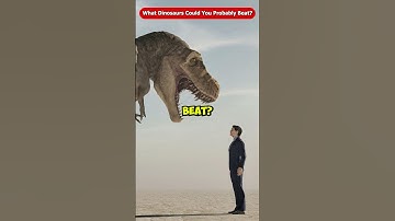 What Dinosaurs Could You Probably Beat? Jurassic World Rebirth Chaos Theory Evolution 3 #Shorts